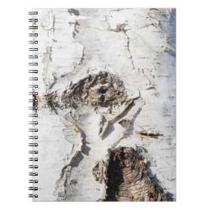 Carnet Motif d'écorce de bouleau