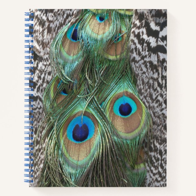 Carnet Motif Peacock Feathers (Devant)