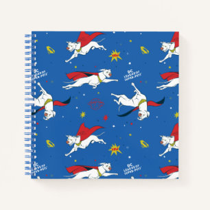 Carnet Motif volant Krypto