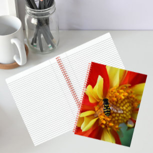 Carnet Mouche à survol sur Dahlia orange et jaune