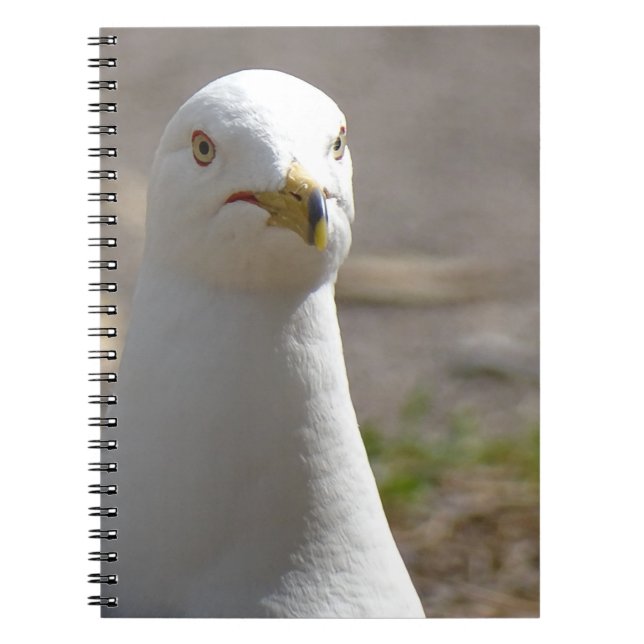 Carnet Mouette (Devant)
