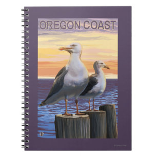 Carnet Mouettes de côte de l'Orégon