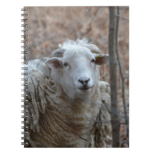 Carnet mouton