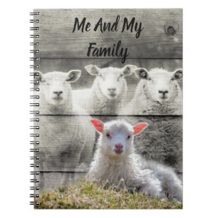Carnet Mouton d'agneau de bébé