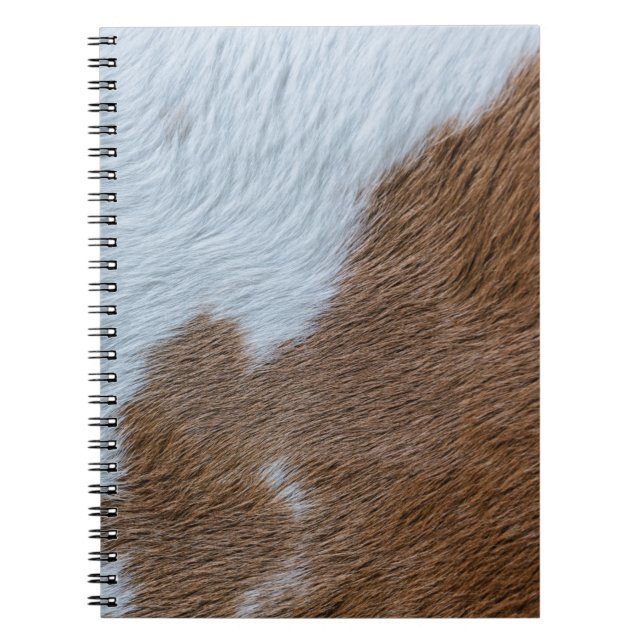 Carnet Moyen-siècle (Devant)