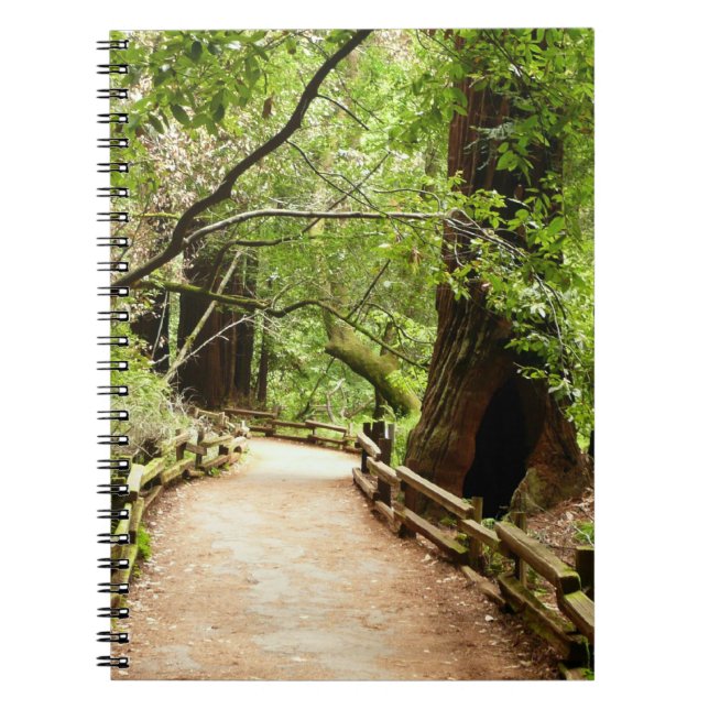 Carnet Muir Woods Path II Nature Photography (Devant)