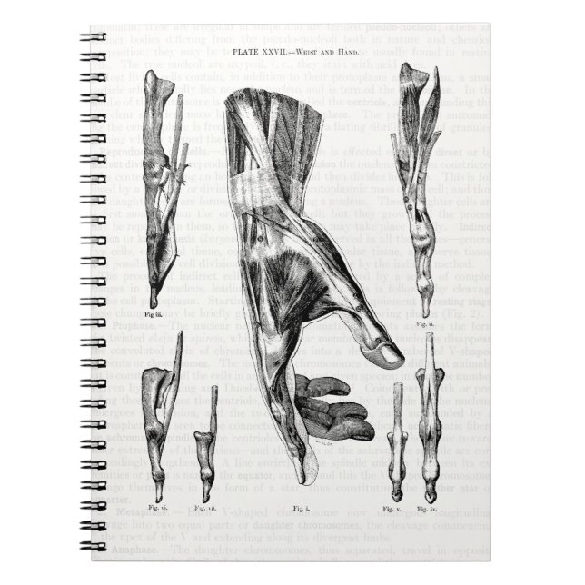 Carnet Muscles d'art Médicale de la main et du poignet (Devant)
