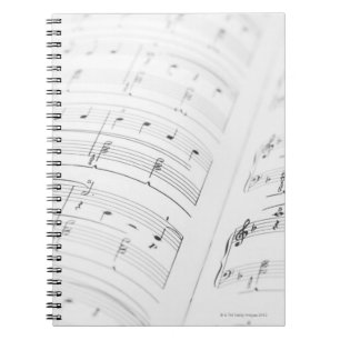 Carnet Musique de feuille détaillée 3