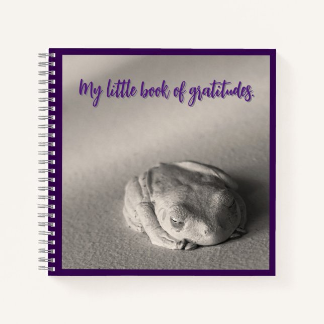 Carnet My Little Book of Gratitudes. (Devant)