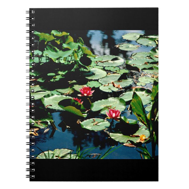 Carnet Nappes D'Eau (Devant)