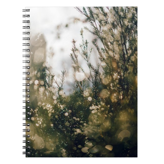 CARNET NATURE (Devant)