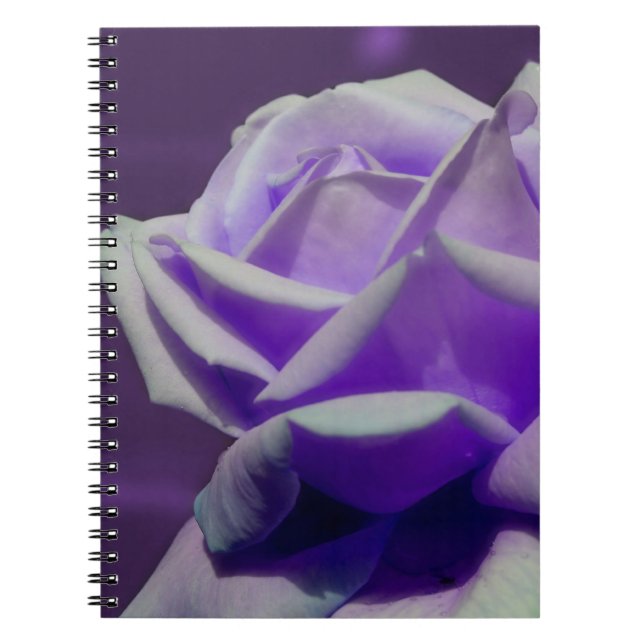 Carnet Nature de la fleur Rose violette (Devant)