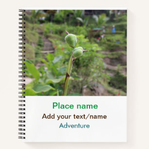 Carnet Nature plante photographie plage eau nom de voyage