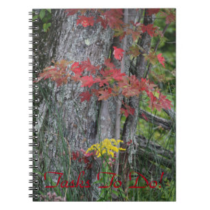 Carnet Natures beauté