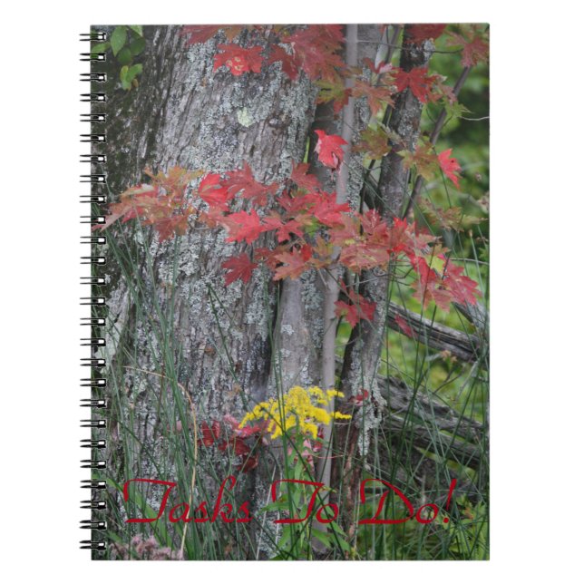 Carnet Natures beauté (Devant)
