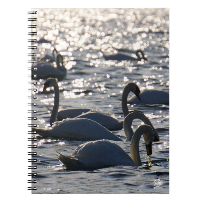 Carnet Navires en groupe sur l'eau avec glissement (Devant)
