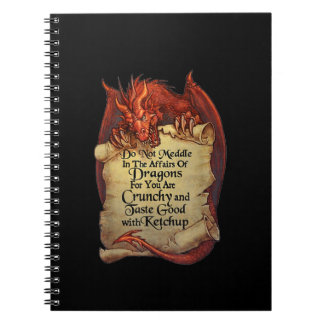 Carnet Ne Vous Immiscez Pas Dans Les Affaires Des Dragons