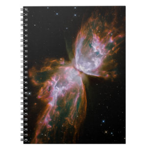 Carnet Nébuleuse du Papillon
