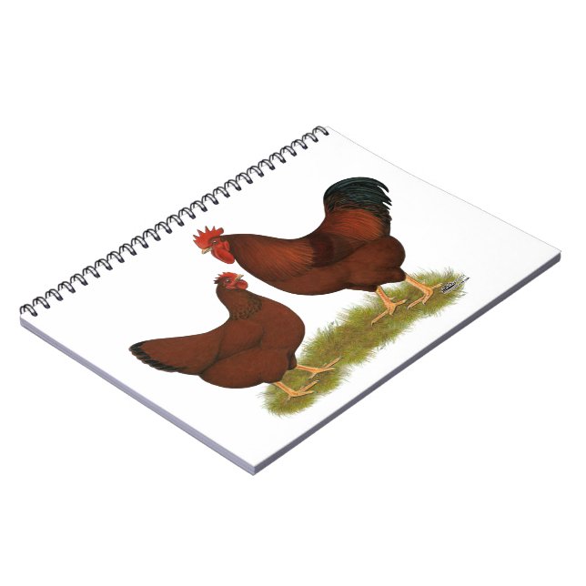 Carnet New Hampshire Reds (Côté gauche)