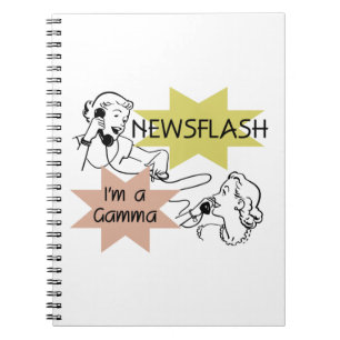 Carnet Newsflash Je suis un cadeau Gamma