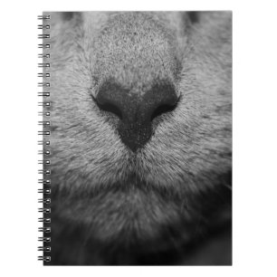 CARNET NEZ DE CHAT EN NOIR ET BLANC