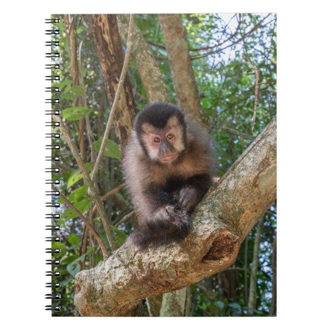 Carnet Nico Spiral Photo Notebook (Devant)