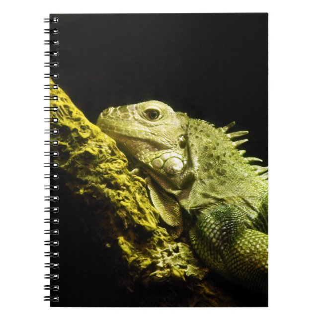 Carnet noble d'iguane (Devant)