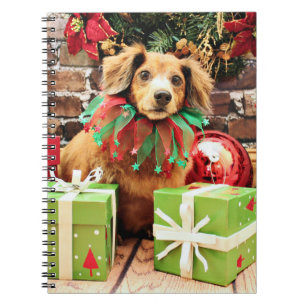 Carnet Noël - basset allemand - Heidi