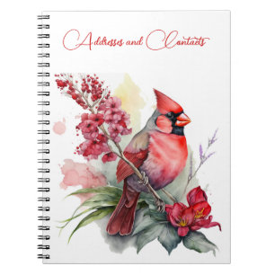 Carnet Noël du cardinal rouge
