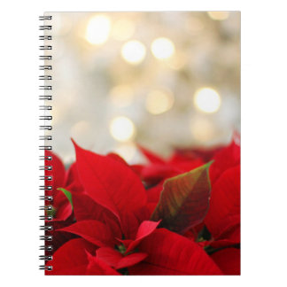Carnet Noël Poinsettia