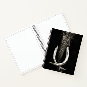 Carnet Noir et blanc Enregistrer l'esquisse de l'éléphant
