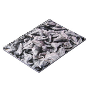 Carnet Noix de buffle - Water Caltrop