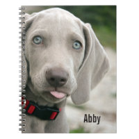 Nom personnalisé de photo de chien de Weimaraner