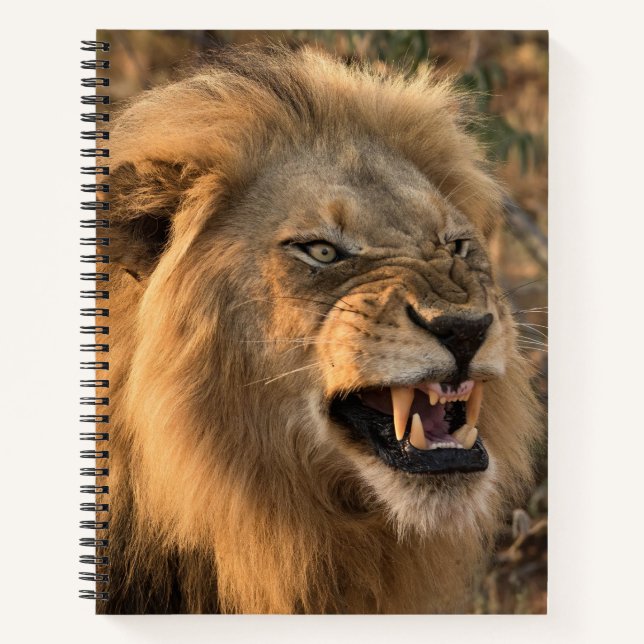 Carnet Nom personnalisé du lion en colère (Devant)