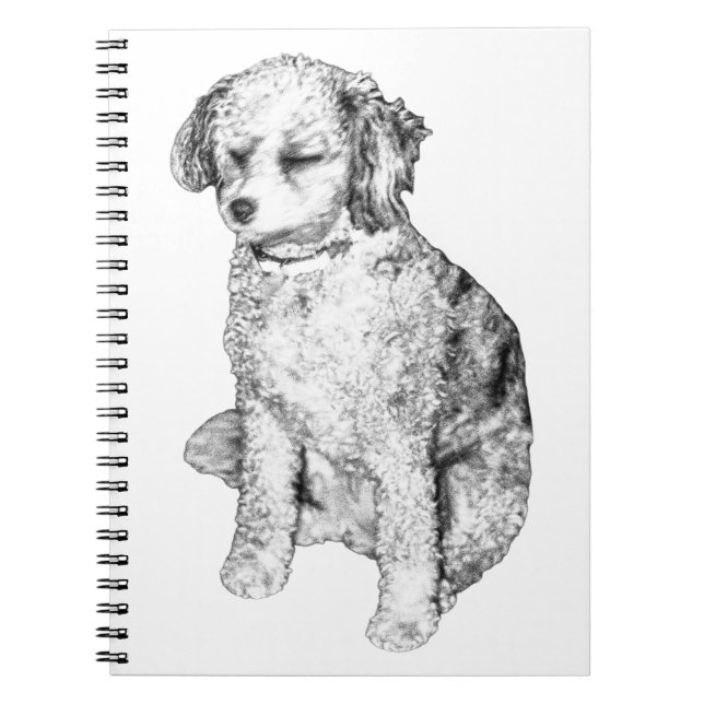 Carnet Note de paix, Nuance subtile (Devant)