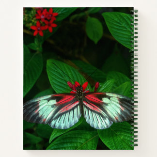 Carnet note en spirale verte