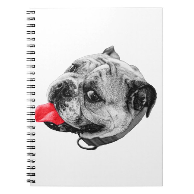 Carnet Notes d'accent joyeuses (Devant)