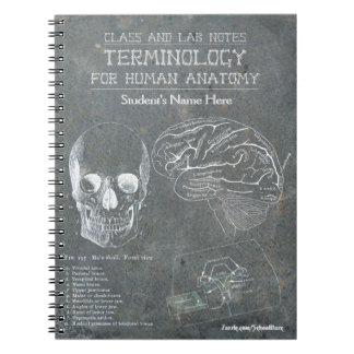 Carnet Notes de classe et de laboratoire - terminologie