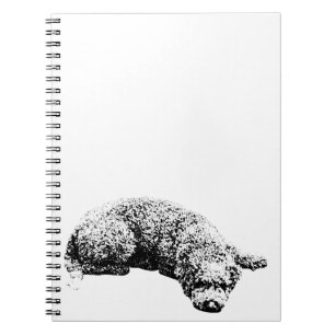 Carnet Notes de la fenêtre