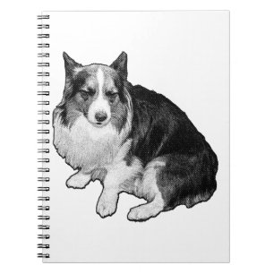Carnet Notes de point sur la lune