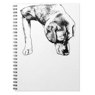 Carnet Notes D'Une Promenade Calme