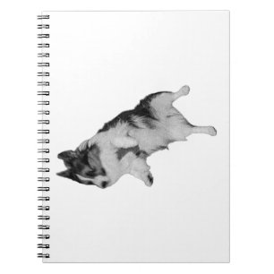 Carnet Notes silencieuses