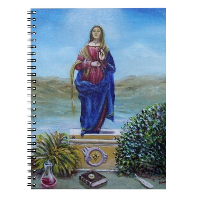 Carnet NOTRE DAME DE LA LUMIÈRE Vierge de l'Immaculée Con (Devant)