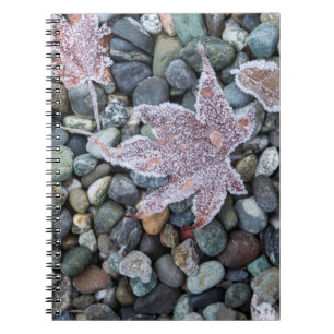 Carnet Nous, Wa, Bainbridge Island. Gelée matinale 2