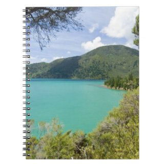 Carnet Nouvelle-Zélande, South Island, Marlborough Sounds