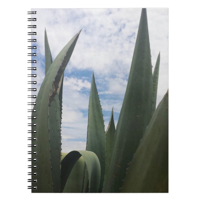 Carnet Nuages Agave (Devant)