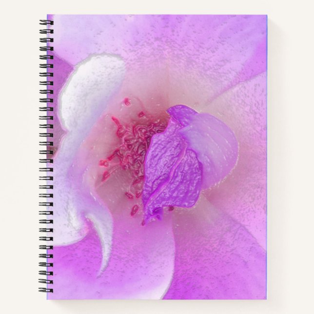 Carnet *~* Numériquement Rose modifié de rose à lavande (Devant)