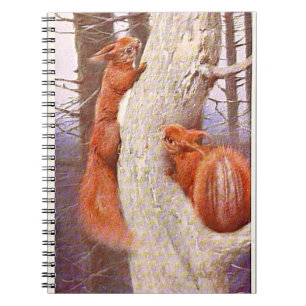 Carnet "Nut Coque"