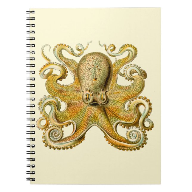 Carnet Octopus illustration antique monstre marin (Devant)