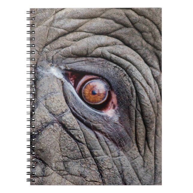 Carnet Oeil d'éléphant animal proche (Devant)